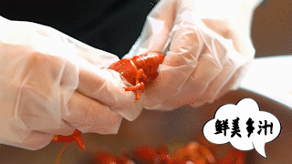 C0249_5.gif
